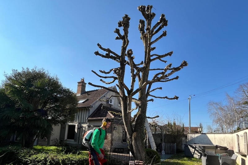 élagage arbre Troyes aube