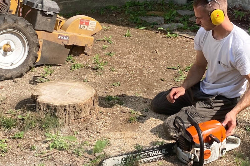 abattage arbre troyes aube