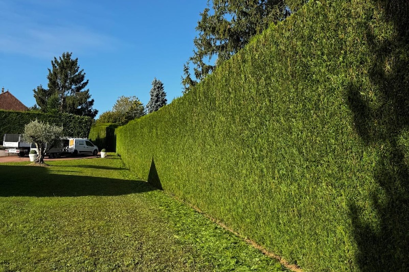 taille haies Troyes aube