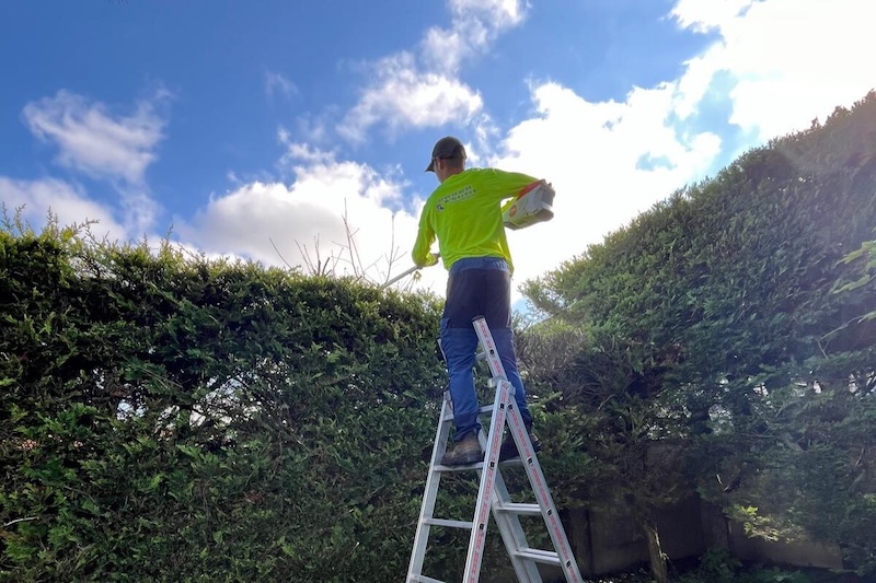 taille haies Troyes aube